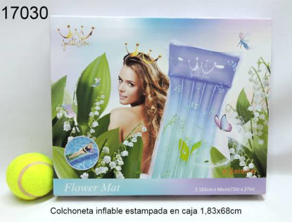 Imagen de COLCHONETA INFLABLE ESTAMPADAS EN CAJA1.83CM X 68CM 12.23